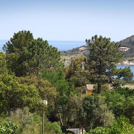 Villa Mimosa Фавоне Екстериор снимка